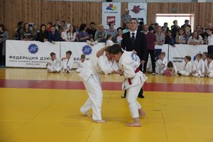 1-й Фестиваль боевых искусств состоялся в Великих Луках  (ФОТО)