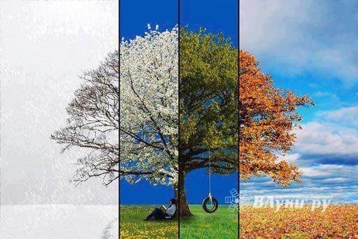 Подведены итоги весенней части фотомарафона «Любимый уголок родного города»