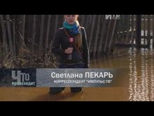 Импульс-ТВ: Наводнение в Шелково