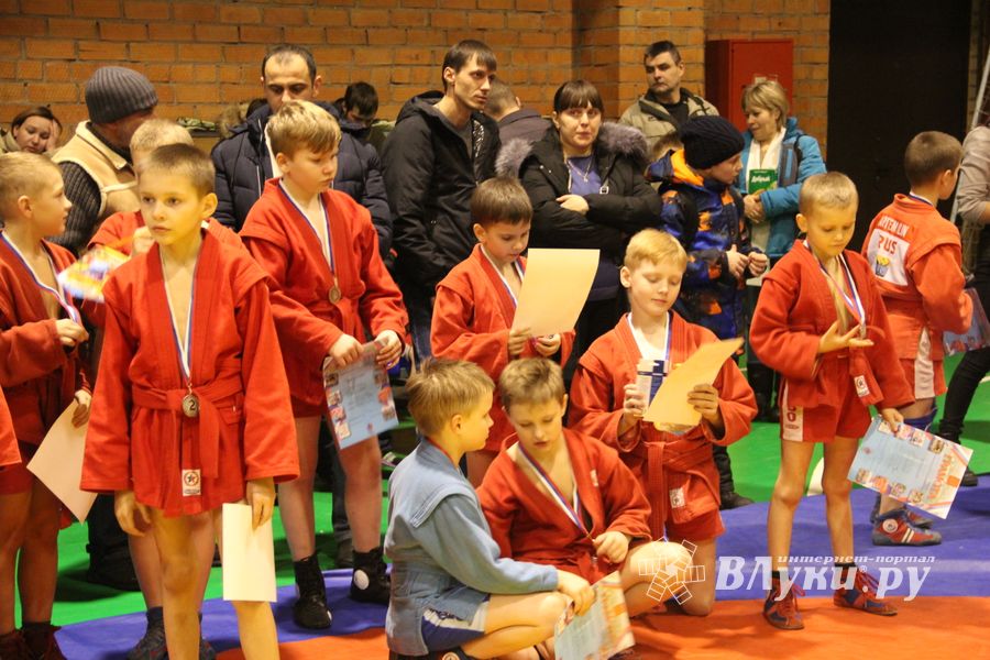 Великолукские самбисты завоевали 11 золотых наград (ФОТО)