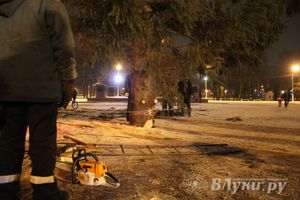 В Великих Луках установили новогоднюю елку (фото)