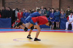 Великолучане завоевали награды турнира по самбо «Память» (ФОТО)