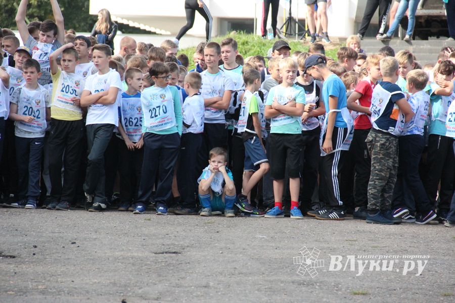 В Великих Луках прошёл «Кросс Нации-2018» (ФОТО)