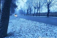 В Псковскую область придёт оттепель