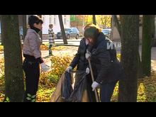 Импульс-ТВ: Субботник