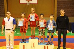 Великолукские самбисты завоевали 11 золотых наград (ФОТО)