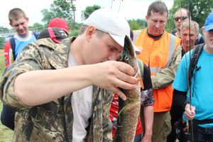 Чемпионат Великих Лук по ловле спиннингом: клевала, но мало (ФОТО)
