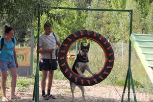 День открытых дверей на спортивно-дрессировочной площадке