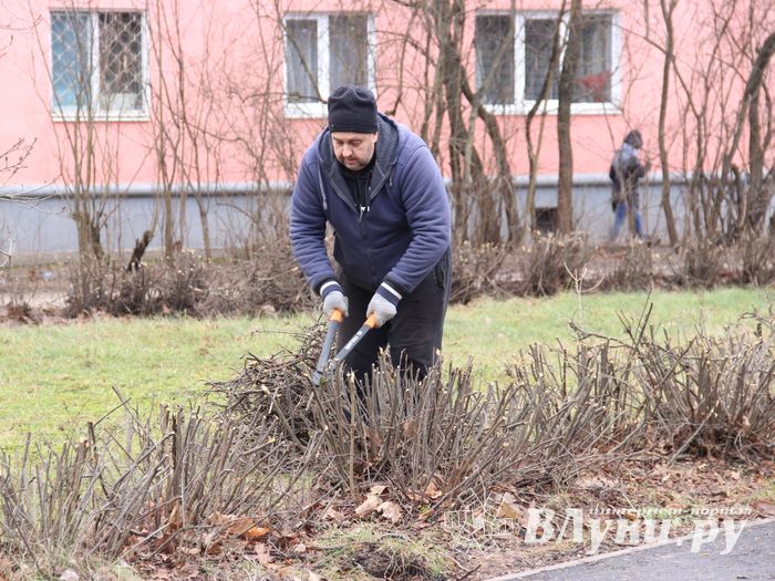 Великолучане могут помериться ладошками (ФОТО)