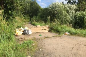 На обочину трассы Булынино-Невель выбрасывают даже автомобили (ФОТО)