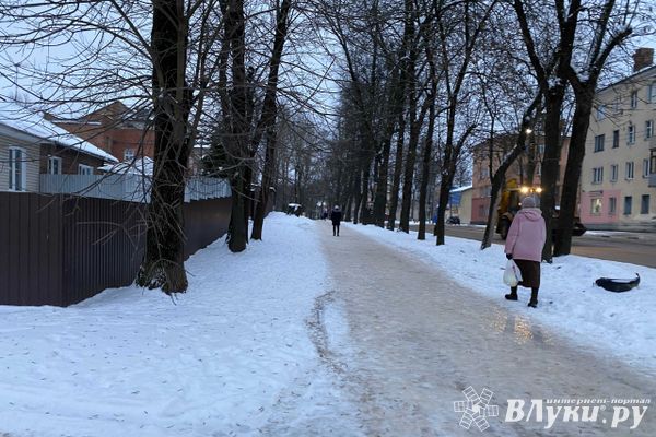 Великолукским коммунальщикам выразили «огромную благодарность» (ФОТО)
