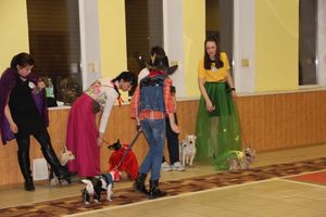 Всероссийская выставка собак в Великих Луках (фото)