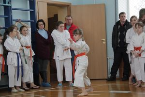 В Великих Луках прошел  турнир по Шотокан каратэ