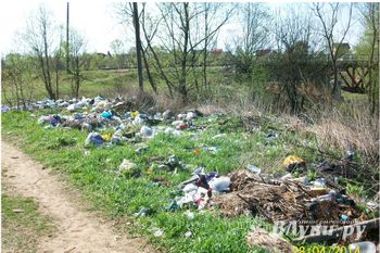 Великолучане продолжают жаловаться на свалки (ФОТО)