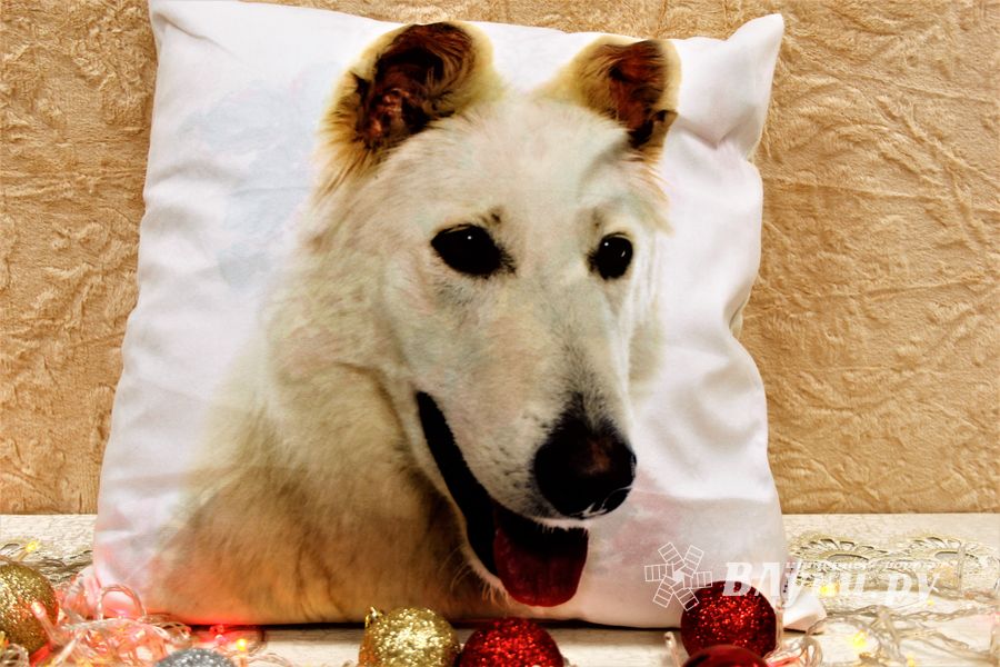 Магазин «Всё для дома» дарит подарки (ФОТО)