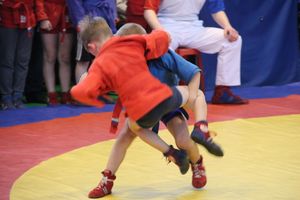 В Великих Луках проходит турнир самбистов (ФОТО)