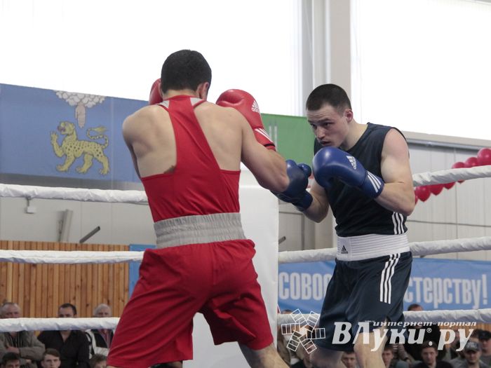 Матчевая встреча по боксу Великие Луки —Псков — Грозный (ФОТО)