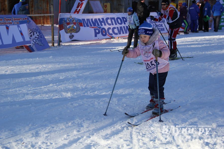Всероссийская массовая лыжная гонка «Лыжня России 2015» состоялась в Великолукском районе (фото)