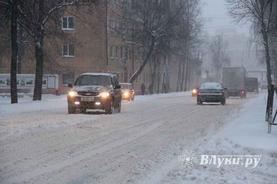 Великие Луки заносит снегом (фото)