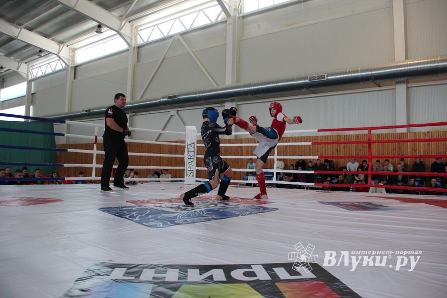 В Великих Луках проходит открытый кубок по смешанному боевому единоборству ММА (ФОТО) (12+)