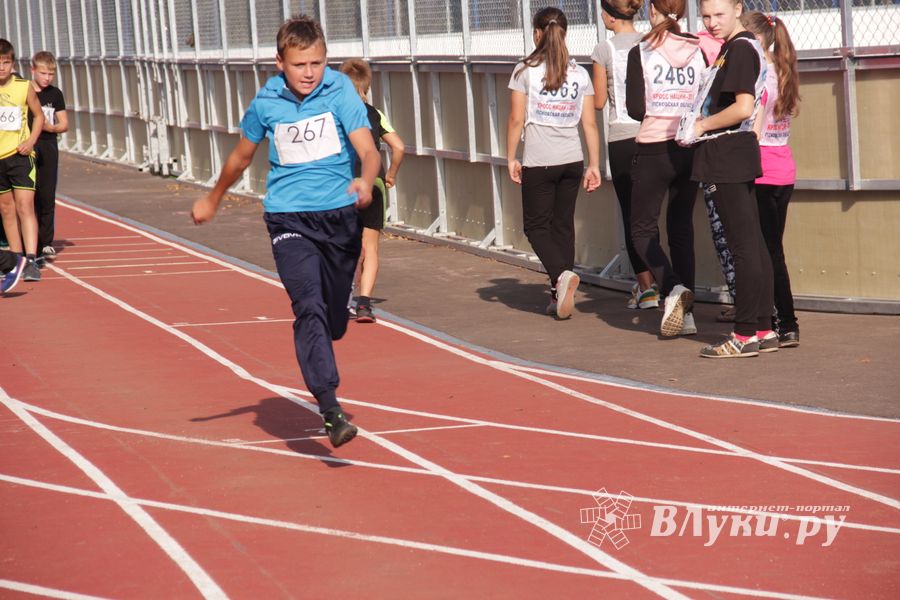 В Великих Луках состоялись соревнования «Шиповка юных» (фото)