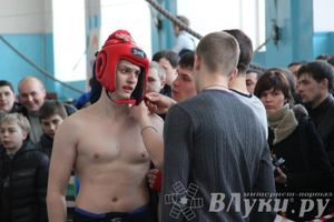 Чемпионат Псковской области по ММА