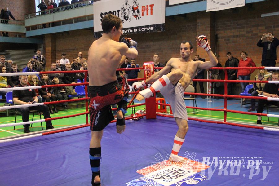 В Великих Луках прошел межрегиональный Открытый Кубок по смешанному боевому единоборству (фото)