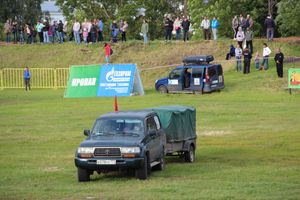 Не взлетели... (ФОТО)