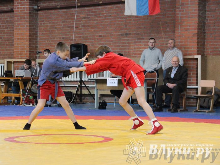 Состоялось Открытое первенство города Великие Луки по борьбе самбо