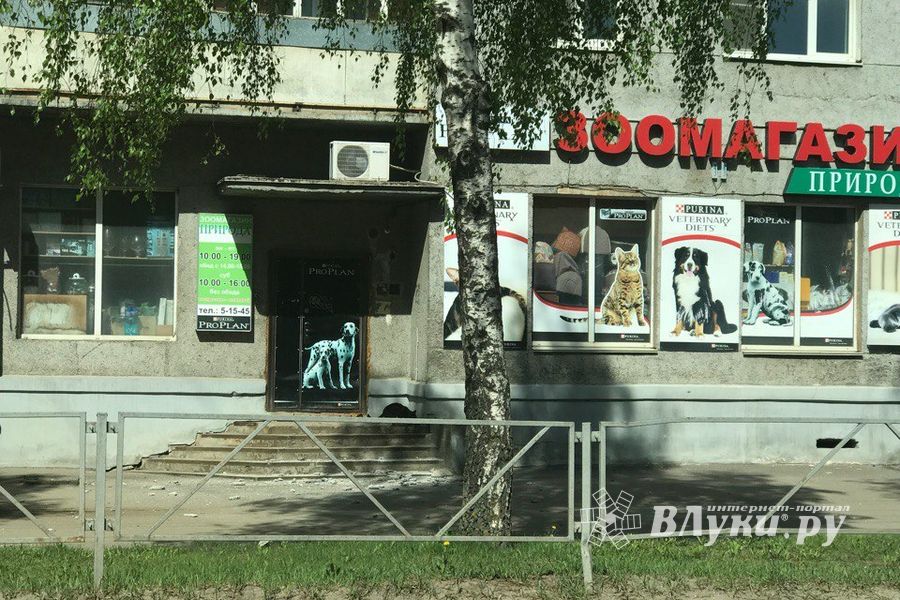 В Великих Луках раскрошился дом (ФОТО)