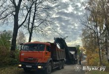 На улице Зенцовской потеряли асфальт (ФОТО)