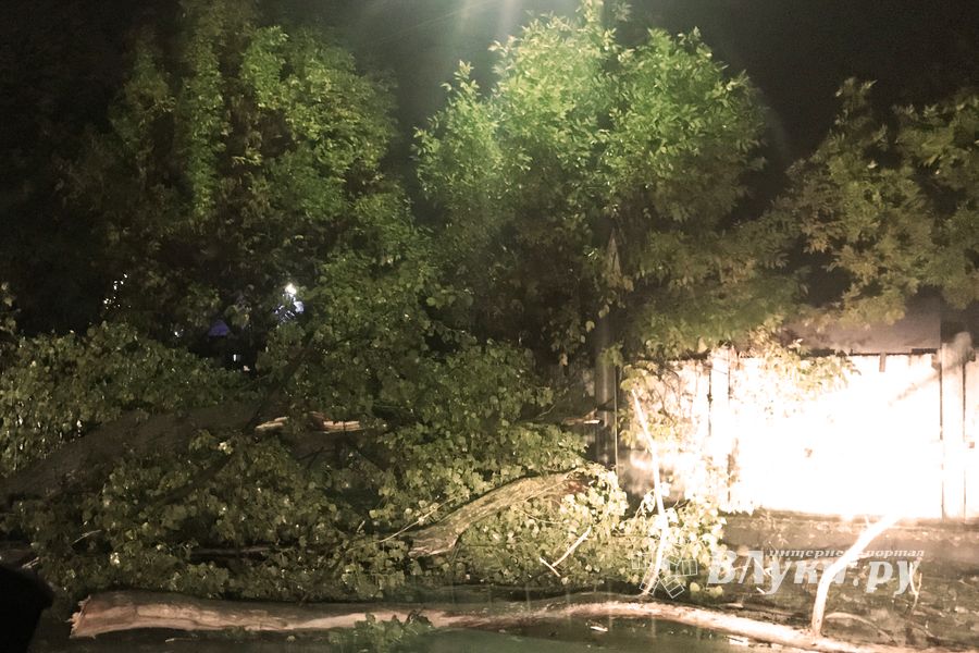 В Великих Луках стихия наломала немало (ФОТО)