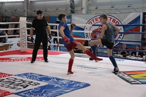 Открытый кубок по смешанному боевому единоборству ММА прошел в Великих Луках (ФОТО)