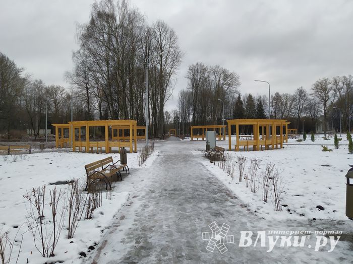 В парке «Петровский» появилась «Яблоня любви» (ФОТО)