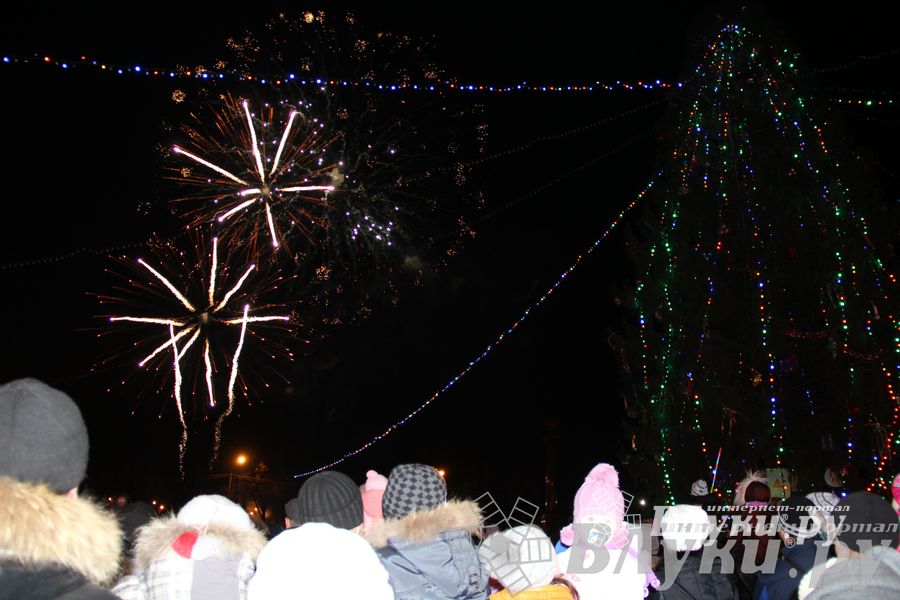 Праздник городской новогодней елки