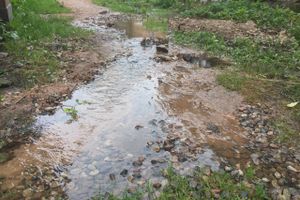 В Великих Луках забил «гейзер», по словам коммунальщиков, «рядовая ситуация» (ФОТО+ЗВУК)