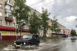 Луки в лужах (ФОТО)