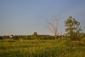 Автор фото: Дарья Мораускайте