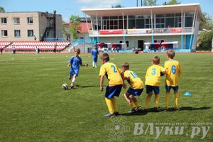 «Локобол-2013» в Великих Луках