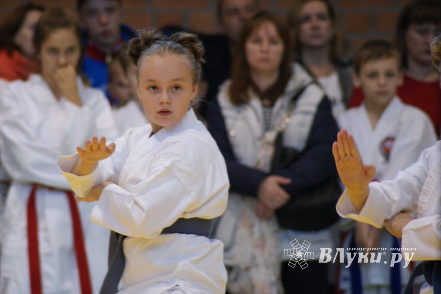 В Великих Луках прошли соревнования по каратэ (ФОТО)