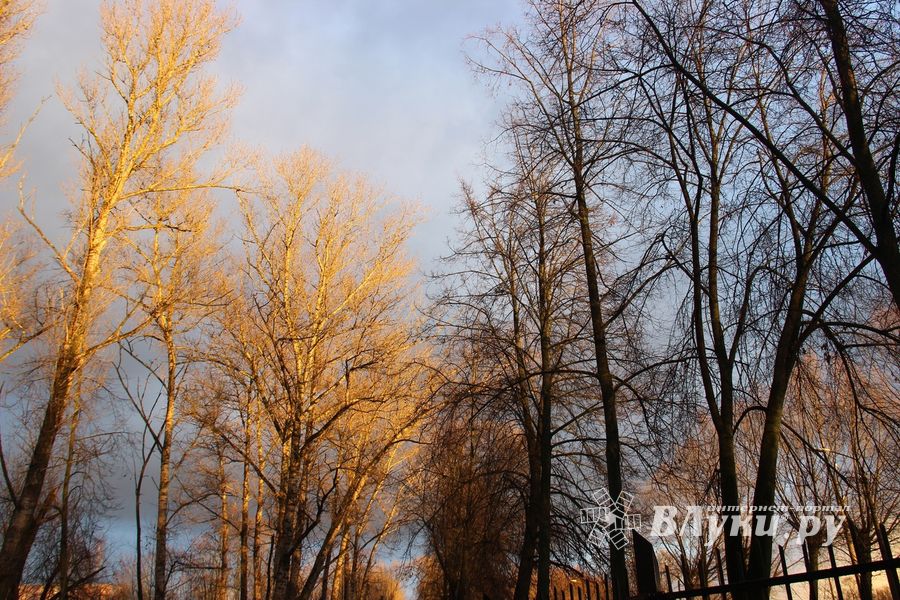 ВЛуки.ру