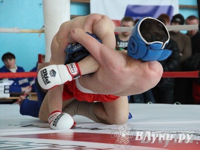 Чемпионат Псковской области по ММА