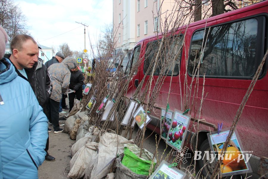 В Великих Луках прошла ярмарка «Весна - 2022» (ФОТО)