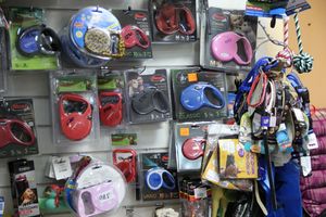 «Zooбастики»: подарите праздник своим любимцам! (ФОТО+ВИДЕО)