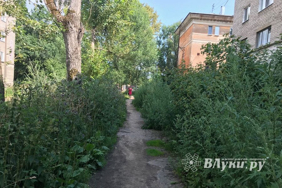 Пора приглашать англичан в Великие Луки (ФОТО)