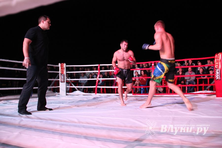 В Великих Луках прошли бои по смешанным боевым единоборствам ММА (фото)