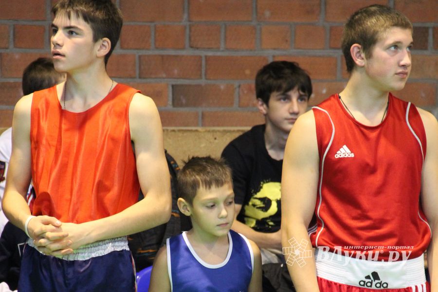 Открытие 16-го  Международного турнира по боксу