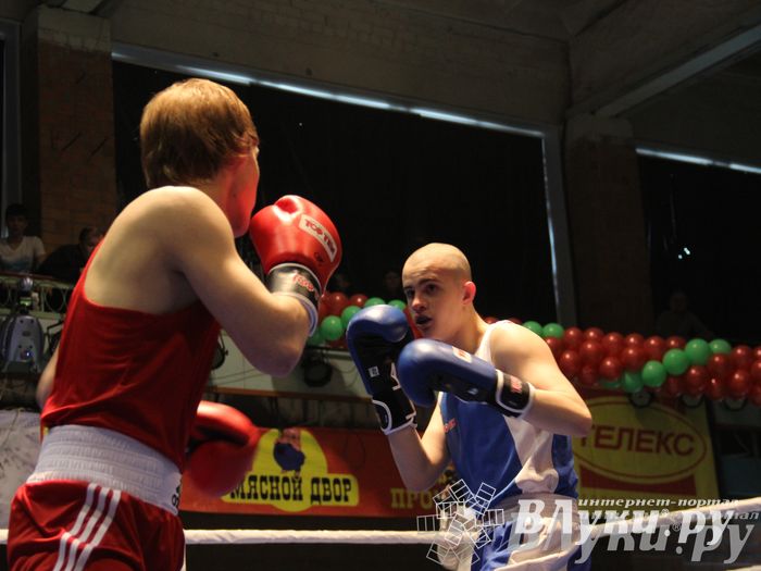 В Великих Луках состоялась матчевая встреча по боксу