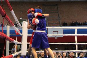 16-й Международный турнир по боксу (фото)