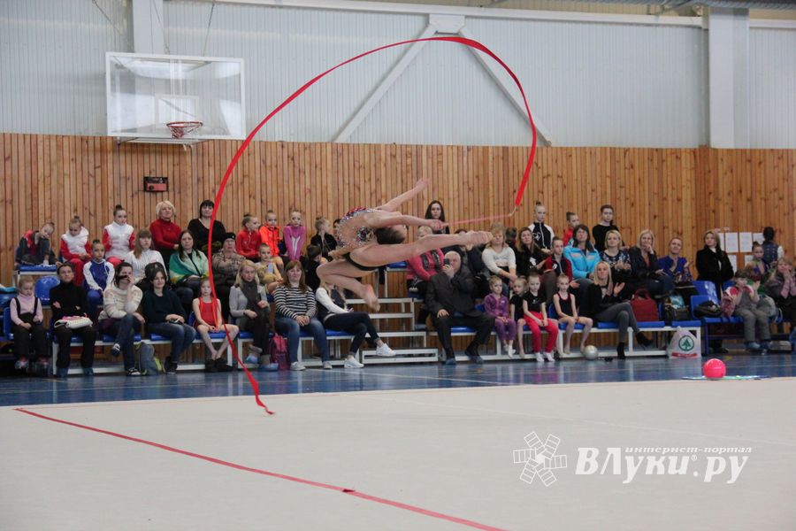 ​В Великих Луках прошли соревнования по художественной гимнастике (ФОТО)